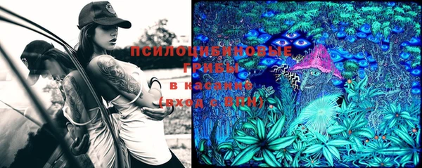 молекула духа Наволоки