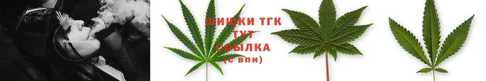 молекула духа Наволоки