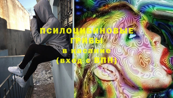 эйфоретик Надым