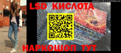 гашик Новодвинск