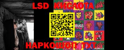 гашик Новодвинск