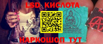 гашик Новодвинск