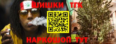 jwh Новозыбков