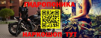 jwh Новозыбков