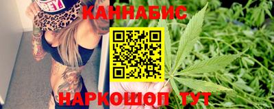 гашик Новодвинск