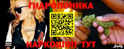 jwh Новозыбков