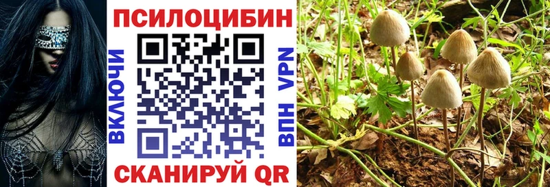 Псилоцибиновые грибы Magic Shrooms  Купить  Острогожск 