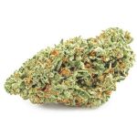 Шишки OG Kush  (Гидропоника, бошки) VHQ в Острогожске